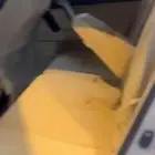 برادو