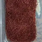 القصيم