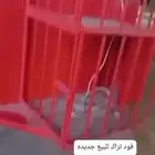 تراك فود   عربة