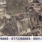 ارض زراعية خام - بيش - جازان
