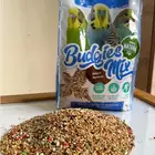 حب علف ( بيرلينا ستيبو ) طعام لطيور البادجي 1kg