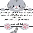 فندقه استضافه قطط