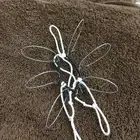 شبك صقور