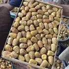 تمر سكري