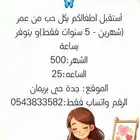 حضانه منزليه