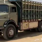 سقس بوز لوري