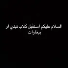 استقبل كلاب تبني او ببغاوات