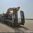 لوبد متوجد في الرين