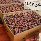 تمر مبروم حبه فاخره انتاج هذا العام 1447