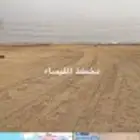 عقارأت المليساء - الخمرة -القرينية نرغب بشراء اراضي إفراغ ف