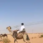 رحول للبيع