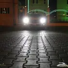 زنون شازرام على تورس 2013