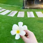 استراحة وشاليهات في ابحر الشمالية