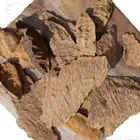 تشار هندي سوبر مرتفع