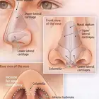 ENT   psychology  ophthalmology teaching