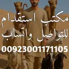 يوجد لدينا راعي الأغنام التواصل ع واتس