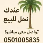عندك نخيل للبيع  تواصل معي مباشرة