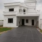 صباغ و بروفايل
