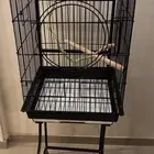 قفص ببغاء جديد