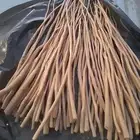 مساويك طويل