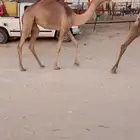 للبيع حواره ضغط عالي