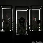 دزات ملكه كوش استقبال