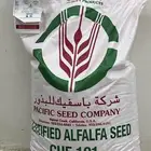برسيم أمريكي شركة باسفك 101 CUF