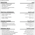 سيرة ذاتية احترافية