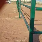 مقاول شبوك مضلات