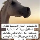 مطلوب ارض لبن