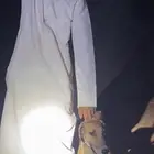 سلقه