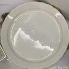 صحون حجم كبير