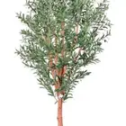 شجرة زيتون صناعي