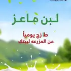 لبن ماعز طازج