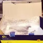 مضخة بنزين فورد f150