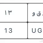 لوحة رقم 13 على السوم