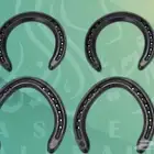 بيطار خيل تركيب حذوه تغليم