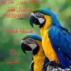 فندقة طيور وقطط لمن لديهم سفر أو غيره