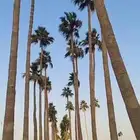 عمال الواشنطني