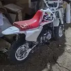 دباب هوندا 50