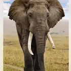 حديقة الحيوان جميع الأيام