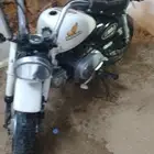 دباب هوندا 50