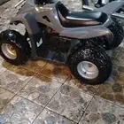 دباب تيوان