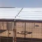 حائل