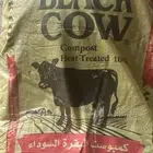 للبيع سماد بقري معالج 100