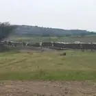 39 صندوق نحل للبيع