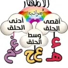 تعليم أحكام التجويد مع القاعدة النورانية