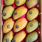 مانجه اسمعلاوي وجوافه قشطة