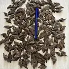 عود محسن درجة اولى