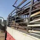 شبك دينا طويل زيزو للبيع نظيف ساج حديد باالادراج